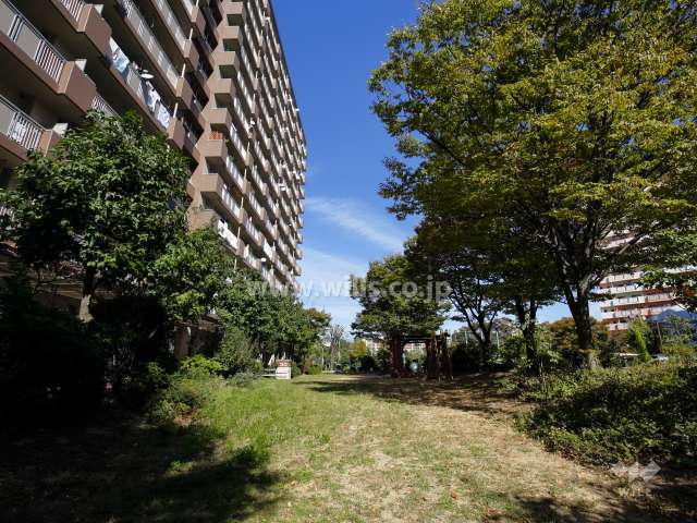 敷地内の公園