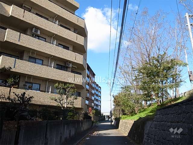 敷地の東側には道を挟んで、武庫川が流れています。