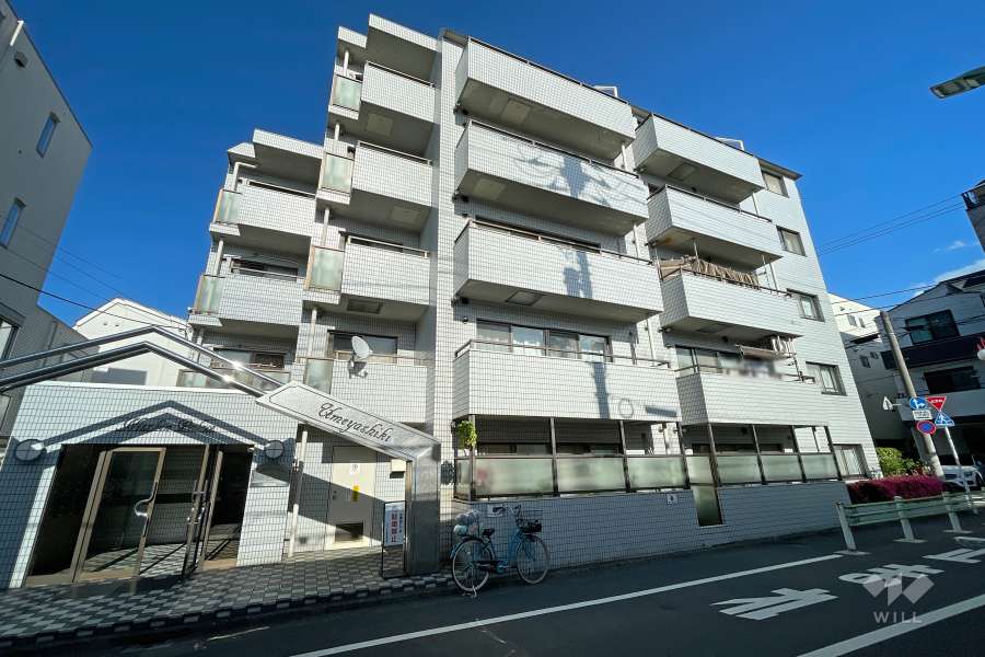 日神パレス梅屋敷の外観（北西側から）　