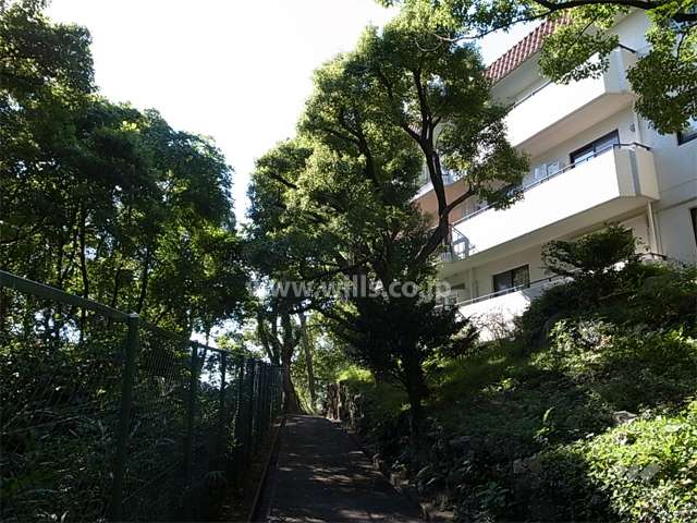 敷地内はたいへん緑豊か。木々の間を抜ける小道もあります。