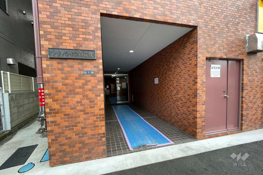 エントランスアプローチ