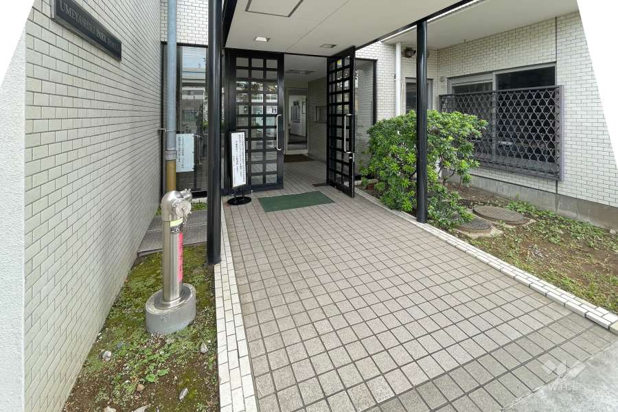 エントランスアプローチ