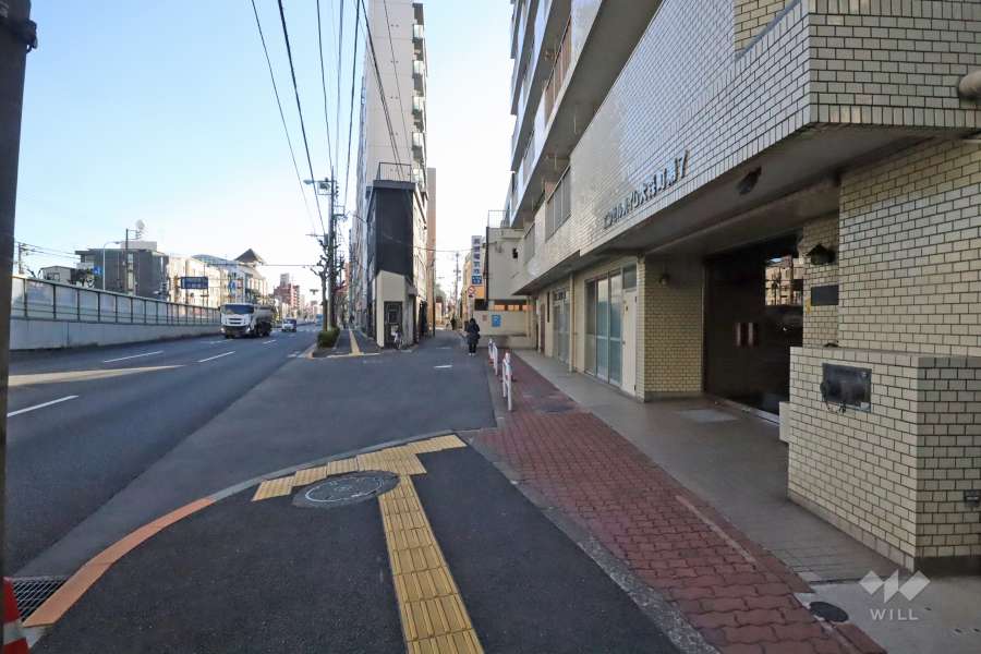 敷地東側の前面道路(北側から)