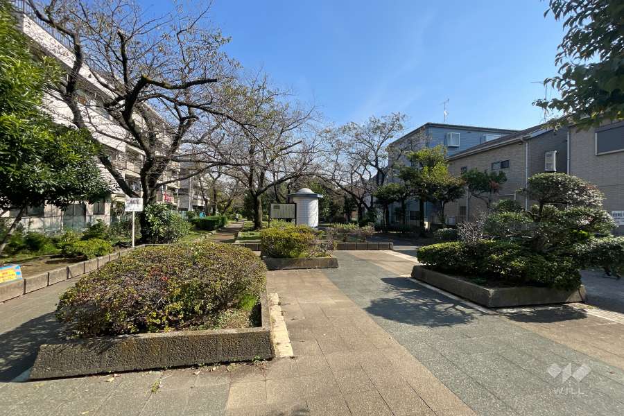 敷地前の公園