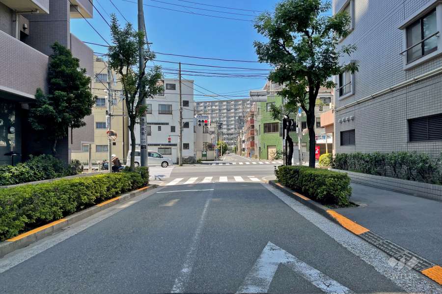 敷地東側の前面道路（南側から）