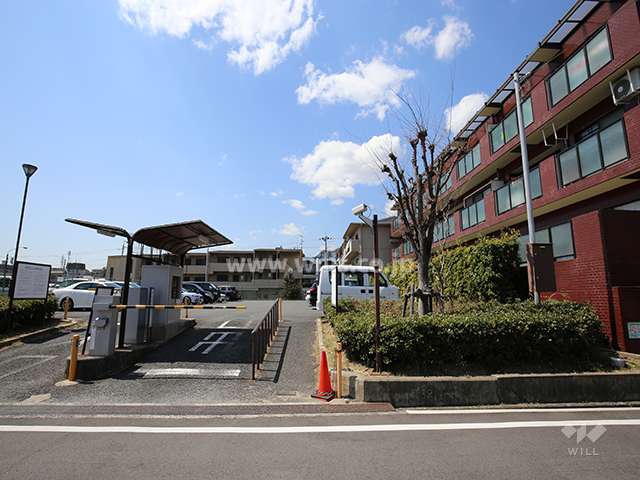 敷地南側の様子