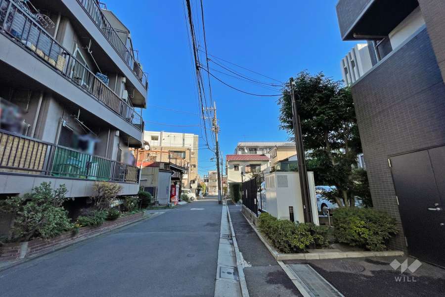 敷地北側の前面道路（西側から）