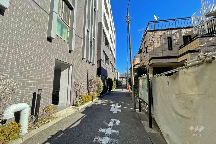 敷地南側の前面道路（西側から）