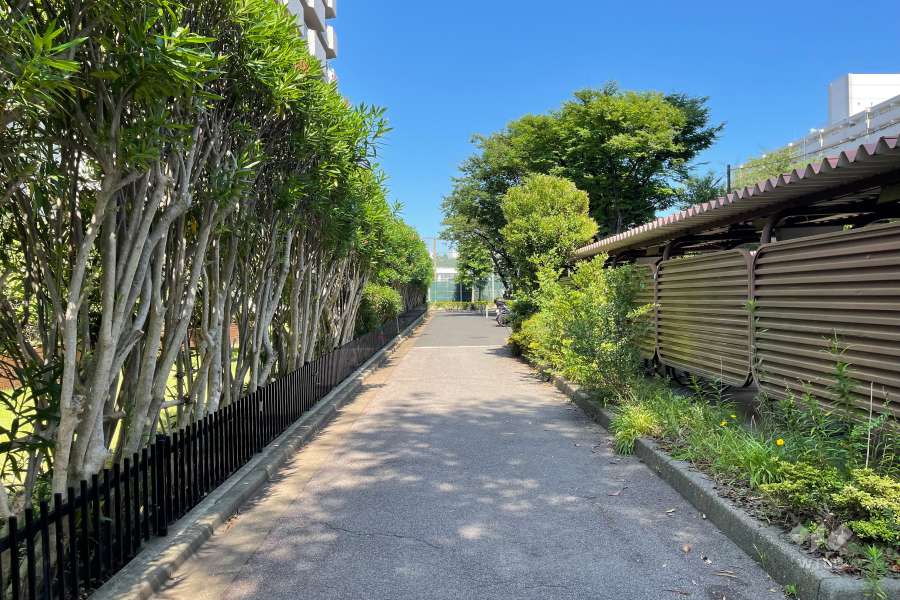 敷地の南側前面歩道