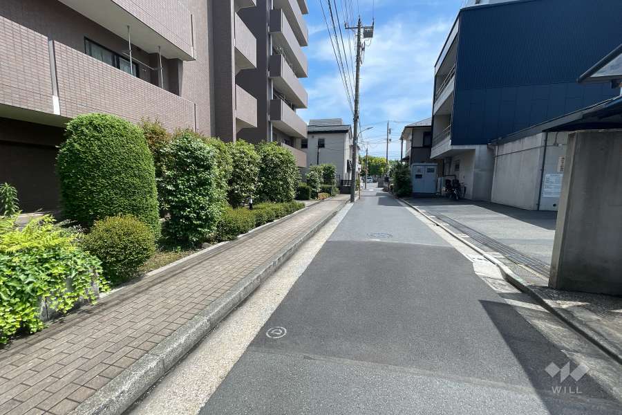 敷地西側の前面道路