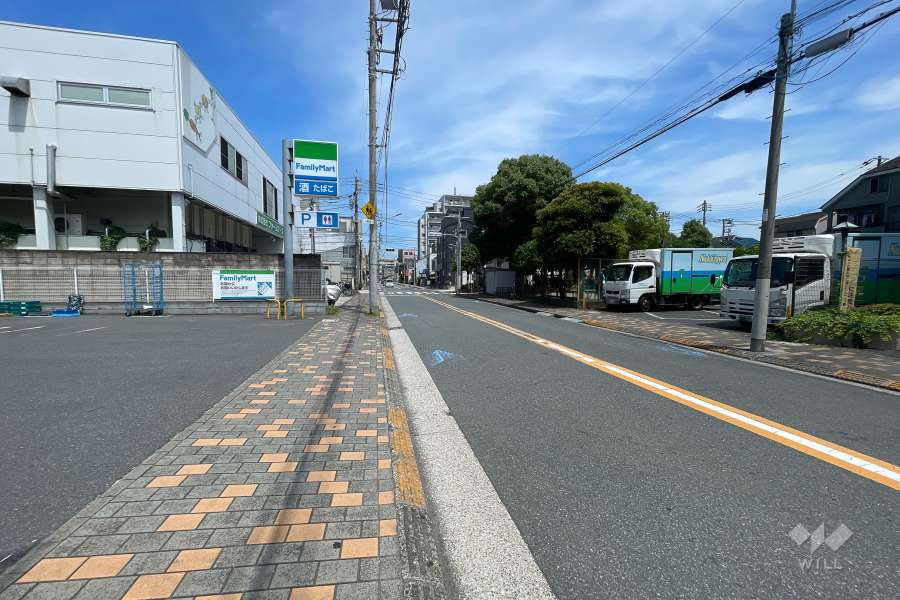敷地の北側道路（西側から）