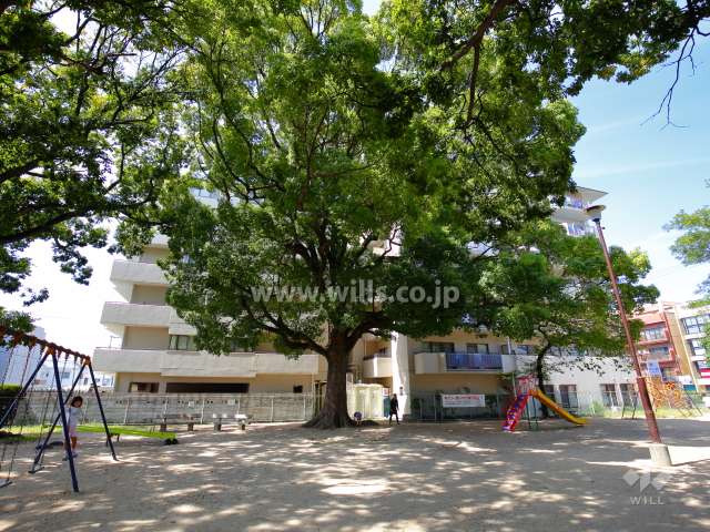 敷地東側には『新靭公園』があります。