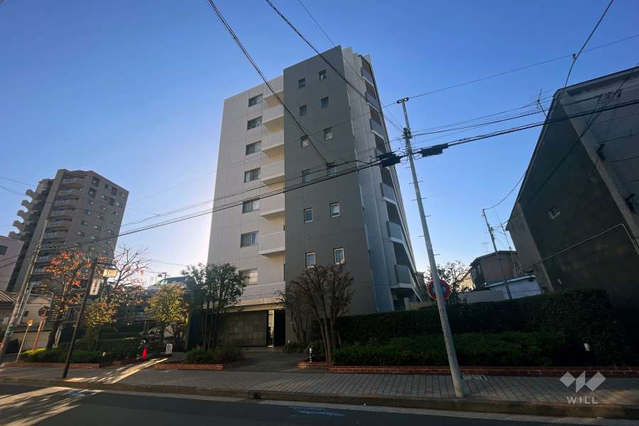 エンゼルザグランドハーツの外観（北西側から）