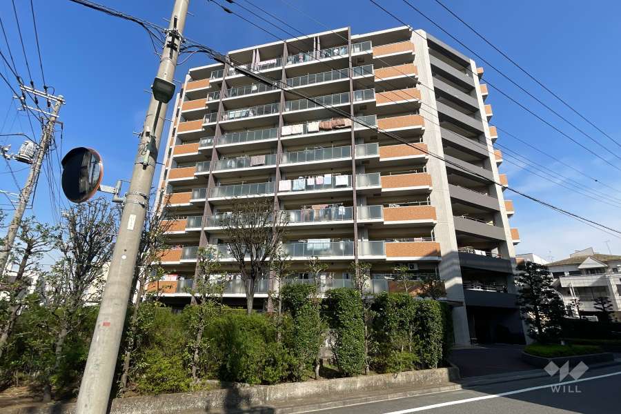 エンゼルブレッサ大森南3の外観（南側から）