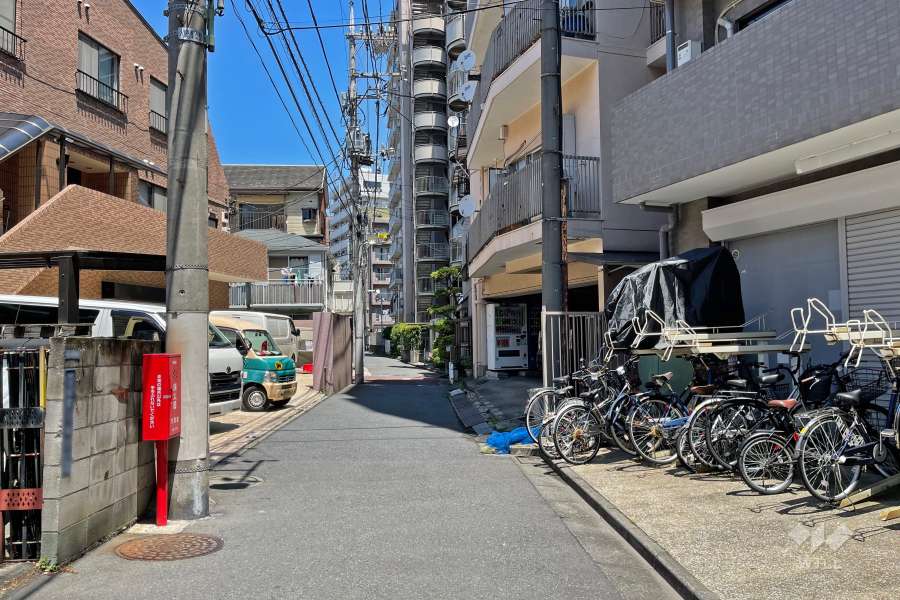 敷地西側の前面道路（南側から）