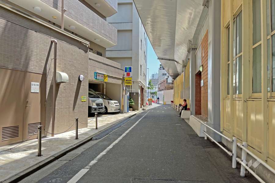 敷地の西側前面道路（北側から）