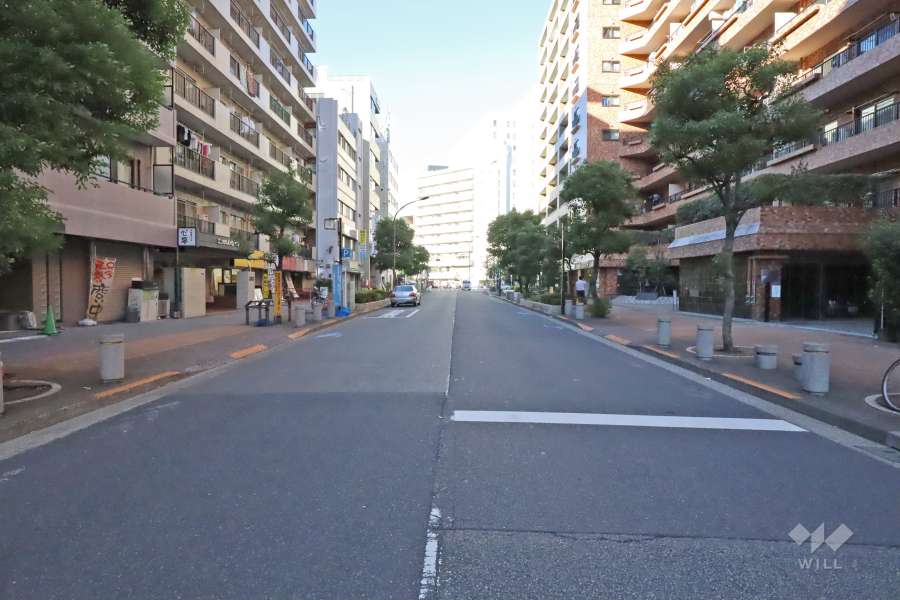 敷地西側前面道路は神社通りです（南側から）。