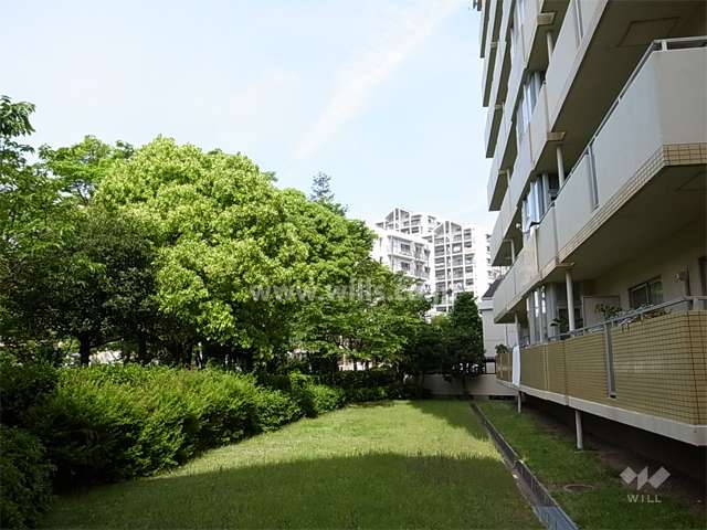 1号棟の南側は緑地スペースを挟んで、公園になっています。