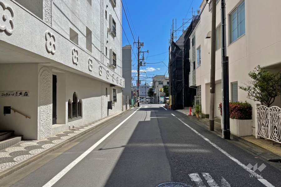 敷地西側の前面道路（北側から）