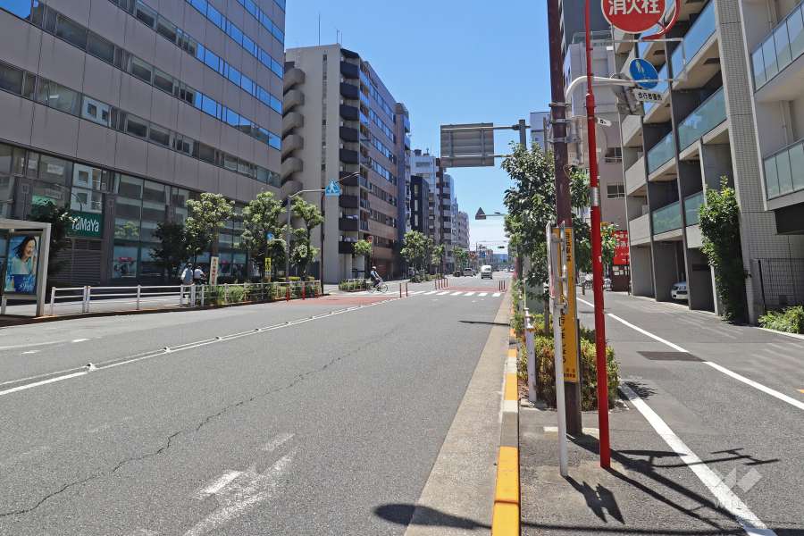 敷地東側の前面道路（北側から）