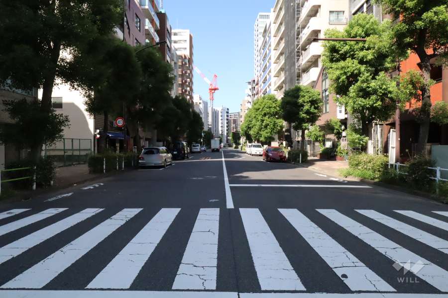 敷地南側の前面道路(西側から)