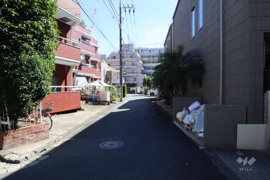 敷地南側の前面道路(西側から)