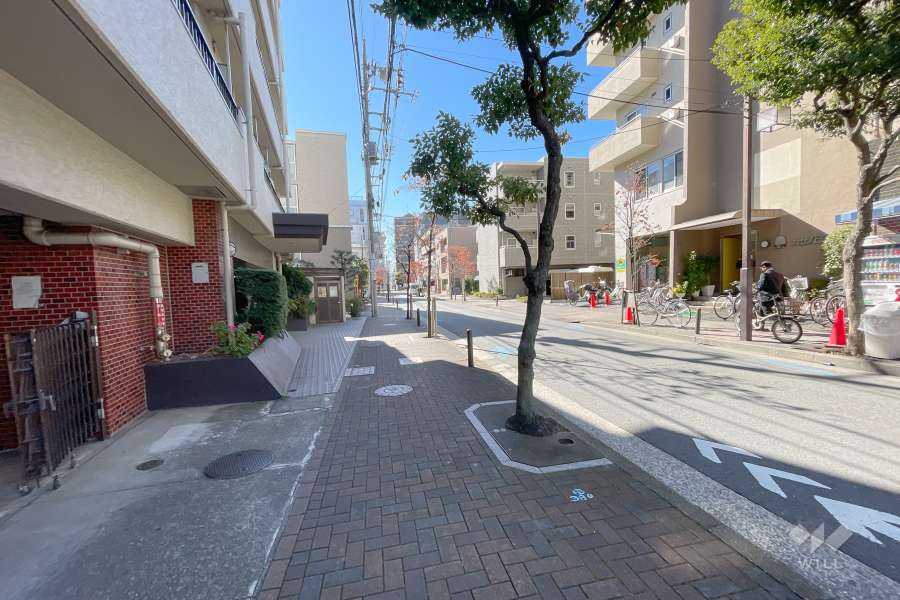 敷地西側の前面道路（北側から）