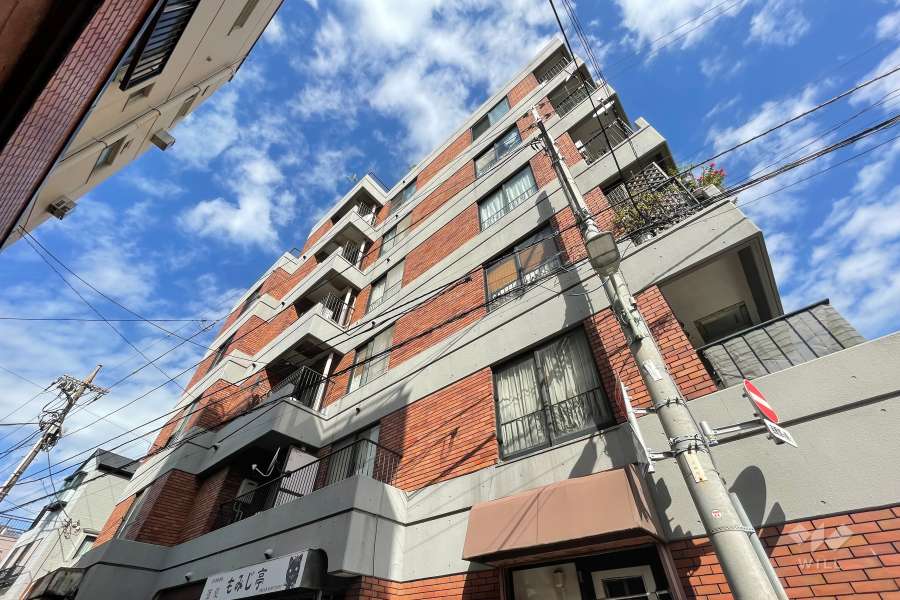 ダイヤハイツ大森の外観（南側から）