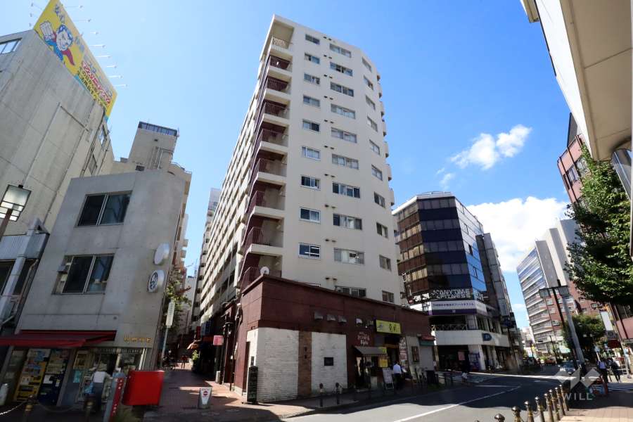 大森北一ハイツの外観(北東側から)