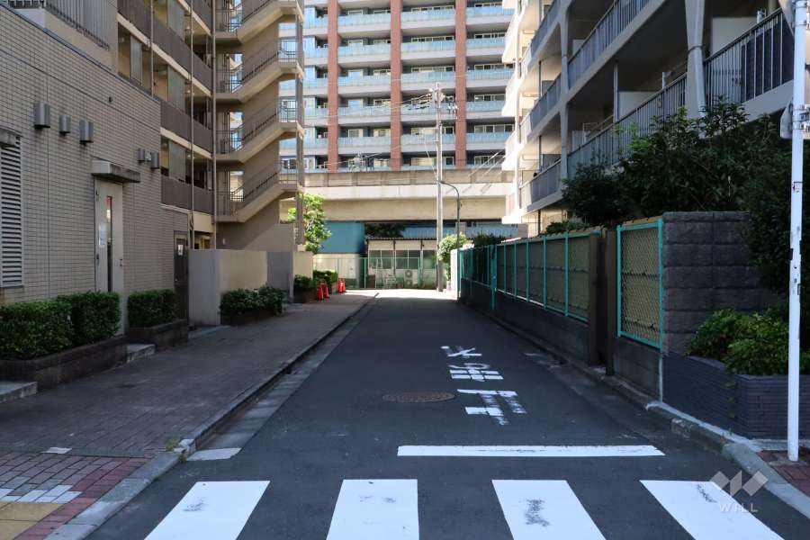敷地南側の前面道路(東側から)