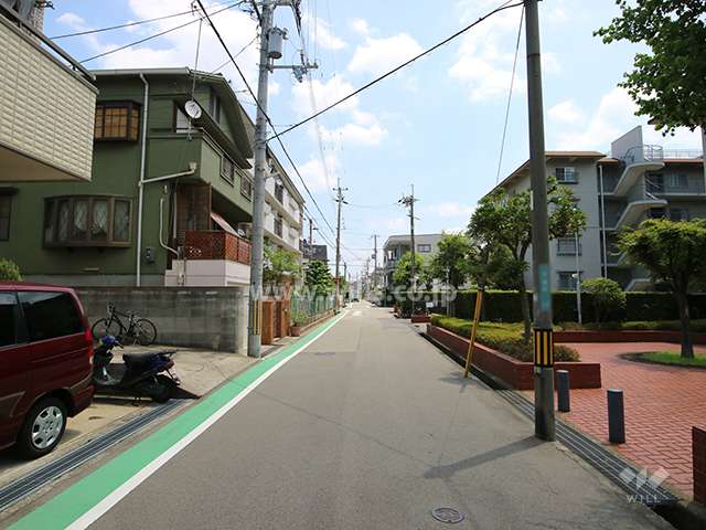 敷地北側の前面道路(西側から)