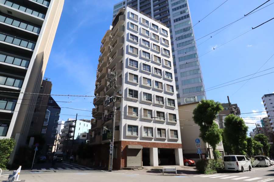 セブンスターマンション大森の外観(南西側から)