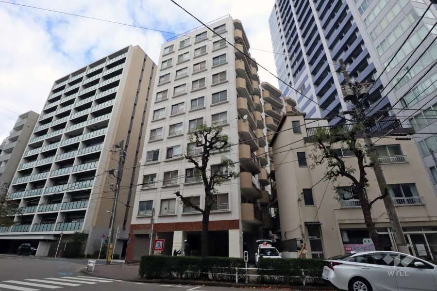 セブンスターマンション大森の外観(南東側から)