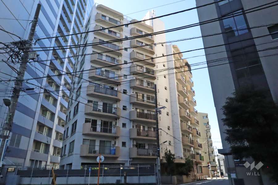 セブンスターマンション大森の外観(北側から)