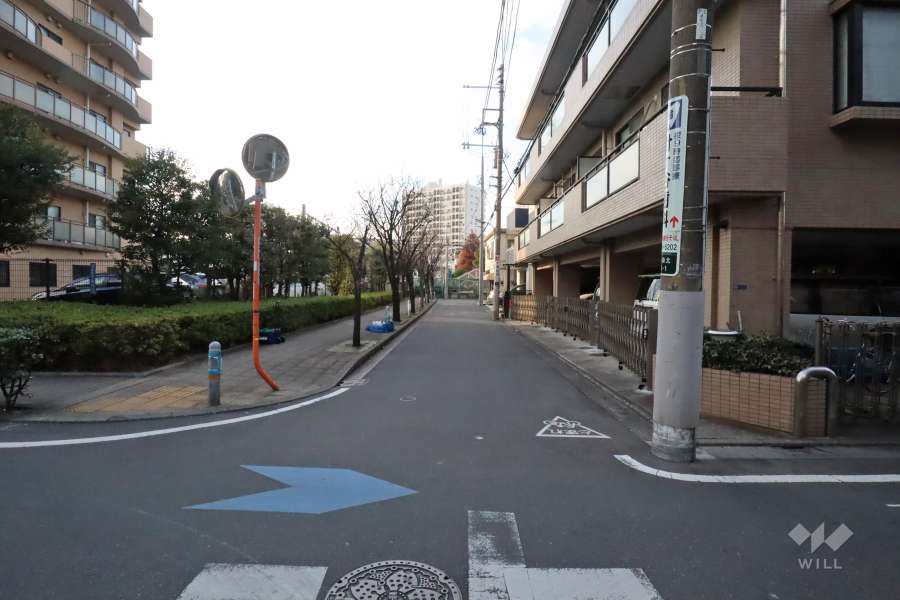 敷地北側の前面道路(東側から)