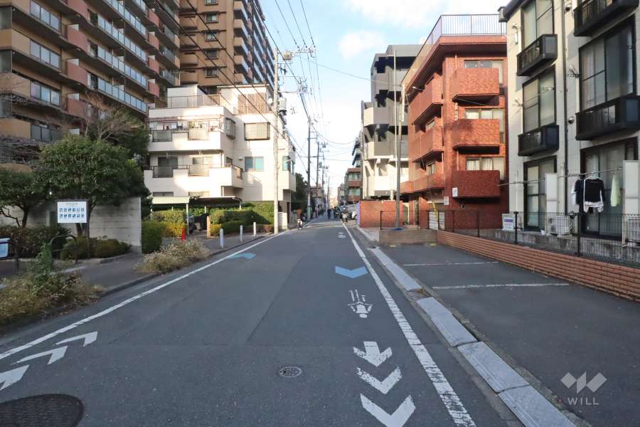 敷地東側の前面道路(南側から)