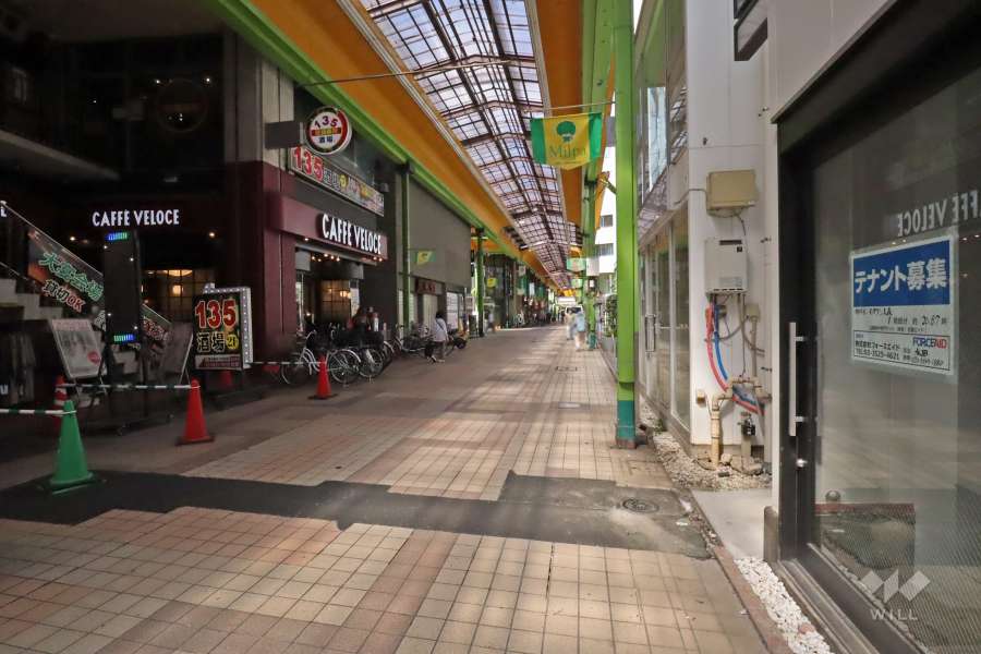 敷地南側の前面道路(東側から)