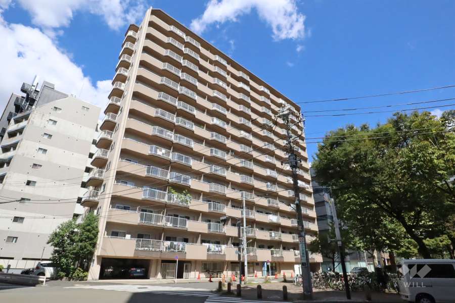 東亜パークサイドキャッスルの外観(南西側から)