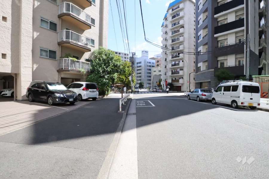 前面道路(南西側)