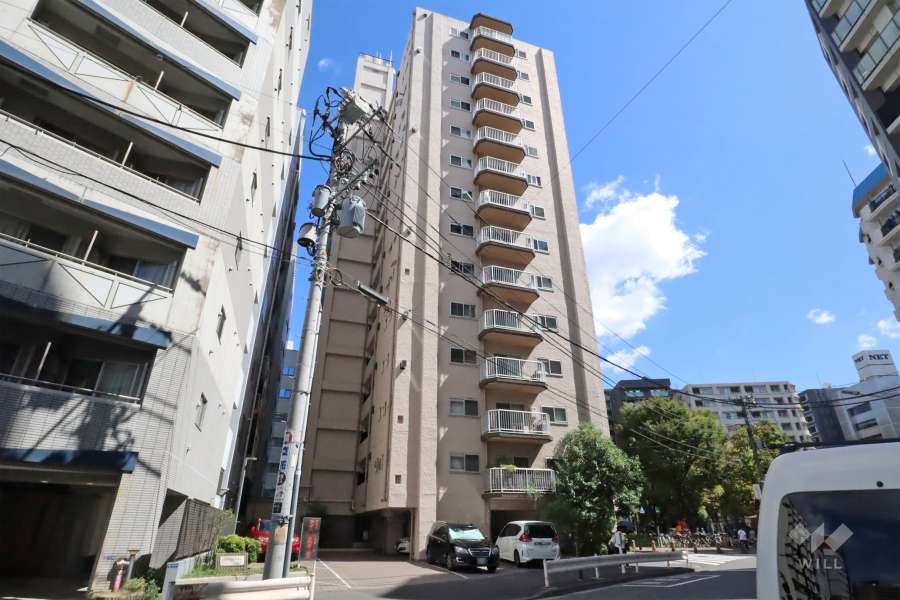 東亜パークサイドキャッスルの外観(西側から)