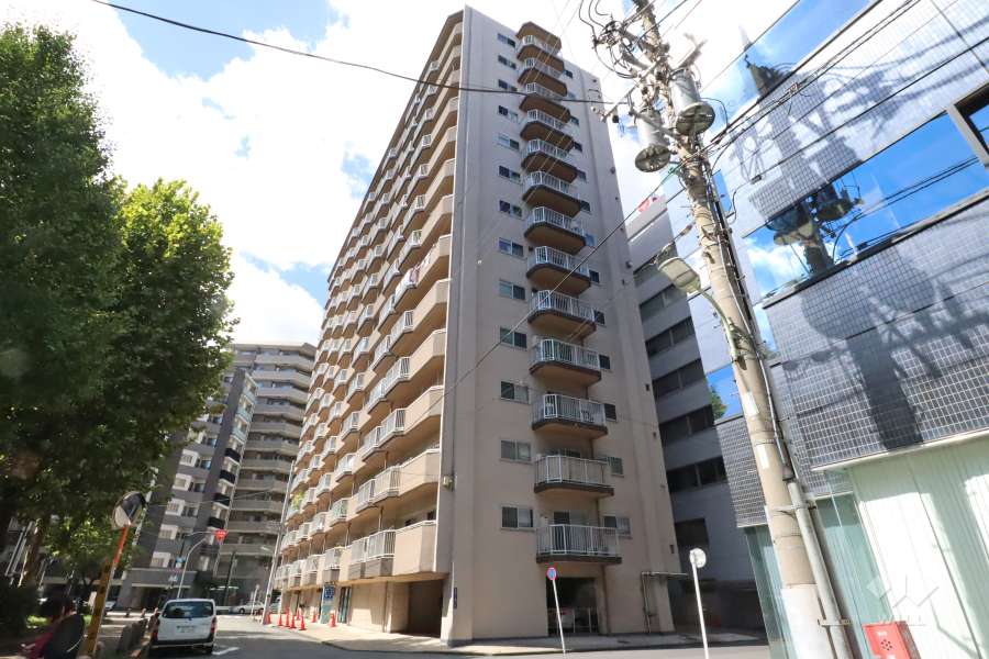 東亜パークサイドキャッスルの外観(南東側から)