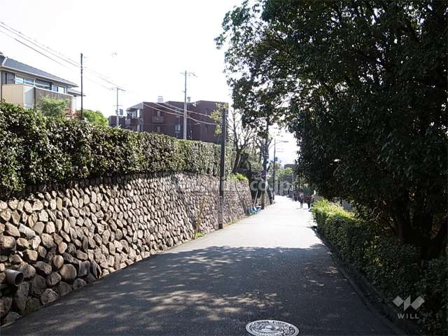 小高い丘の上に立地し、周囲には公園や神社があり、緑豊かです。