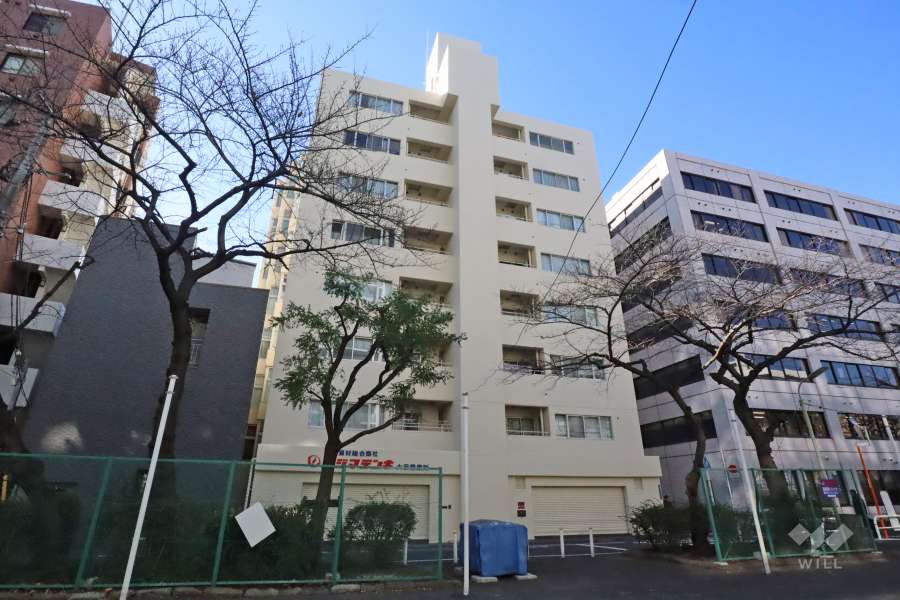 大森シティハイツの外観（北東側から）