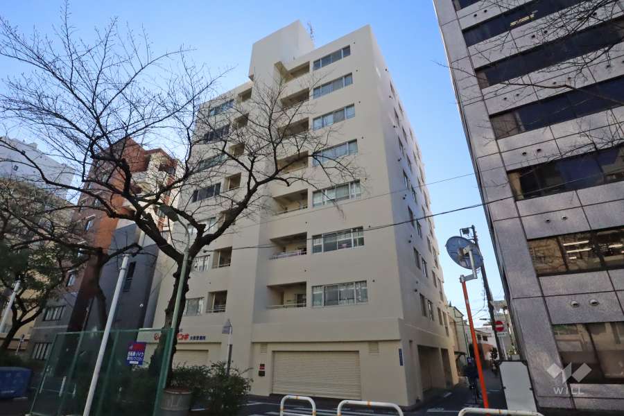 大森シティハイツの外観（北西側から）