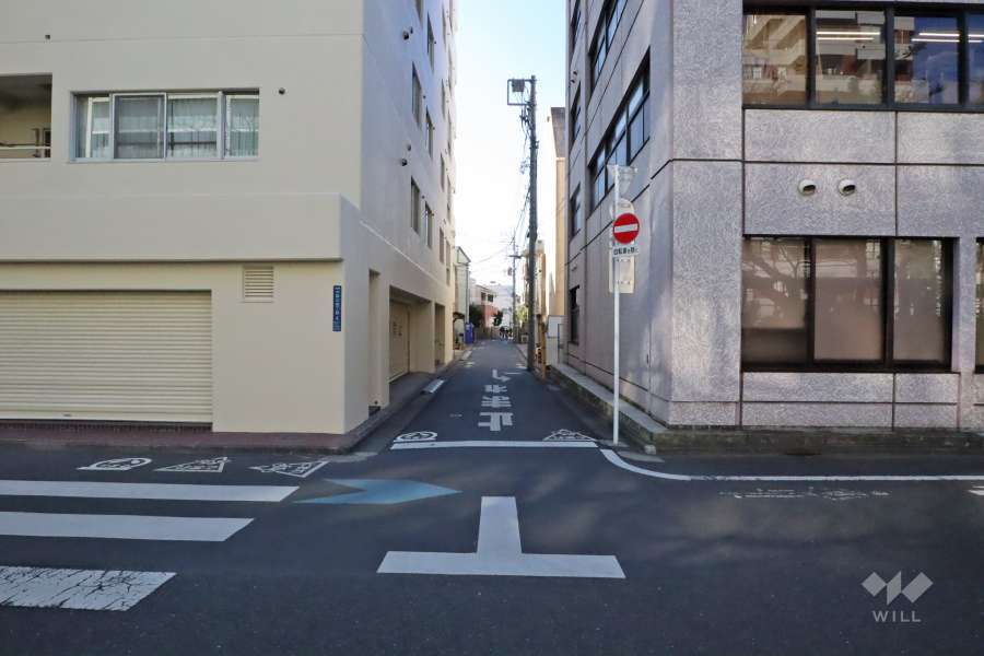 敷地西側の前面道路（北側から）