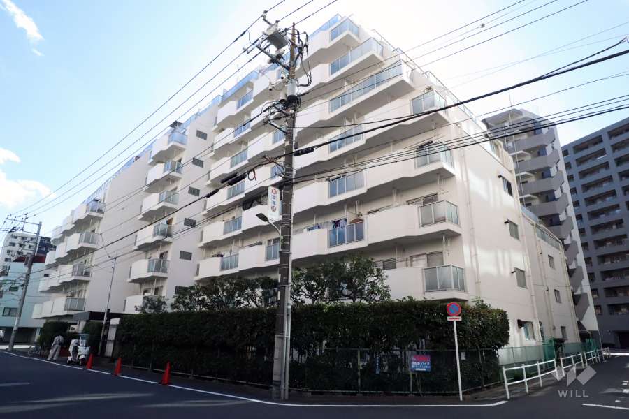 ニューライフ大森の外観(北東側から)