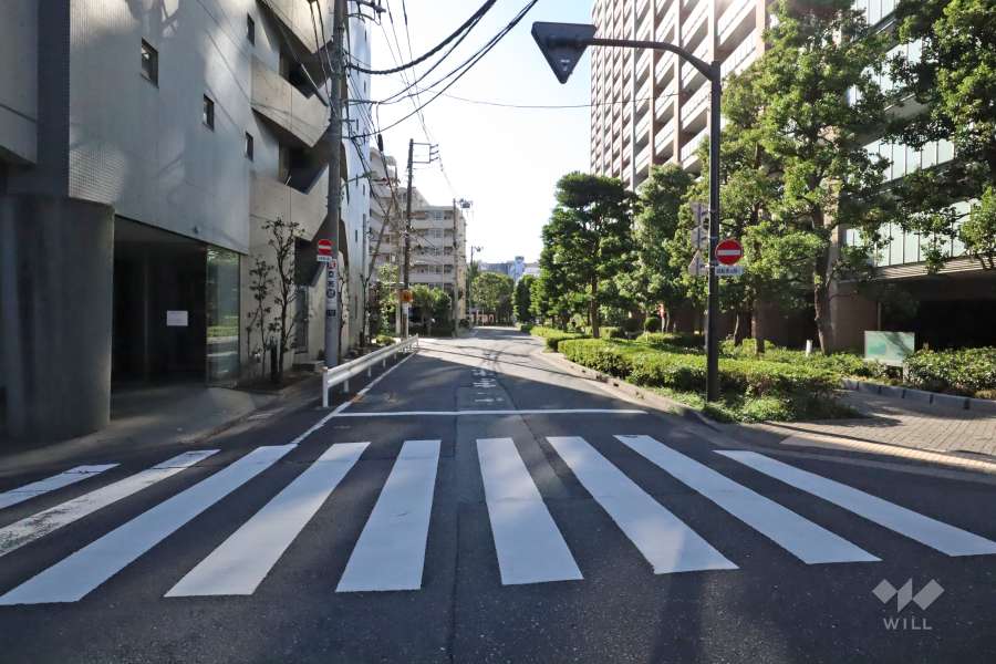 敷地南側の前面道路