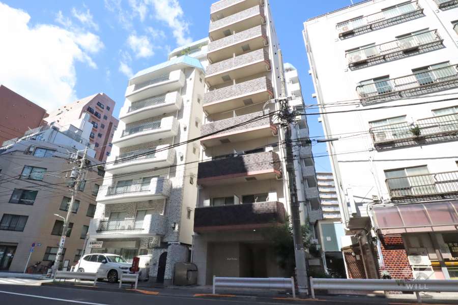 ヴィップ大森パークサイドマンションの外観(南東側から)
