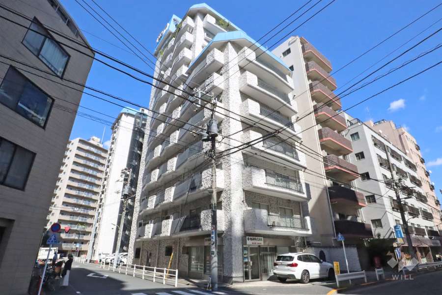 ヴィップ大森パークサイドマンションの外観(南西側から)