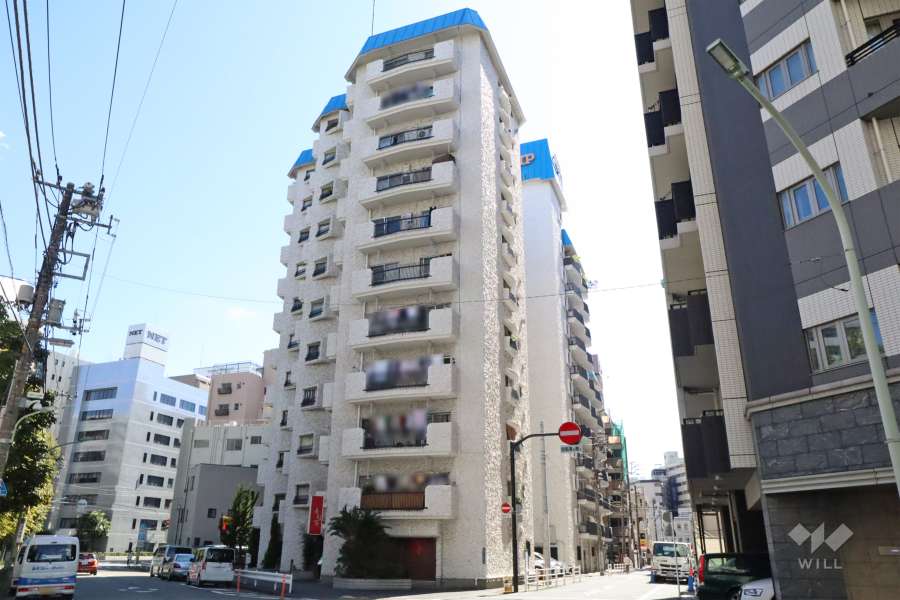 ヴィップ大森パークサイドマンションの外観(北側)